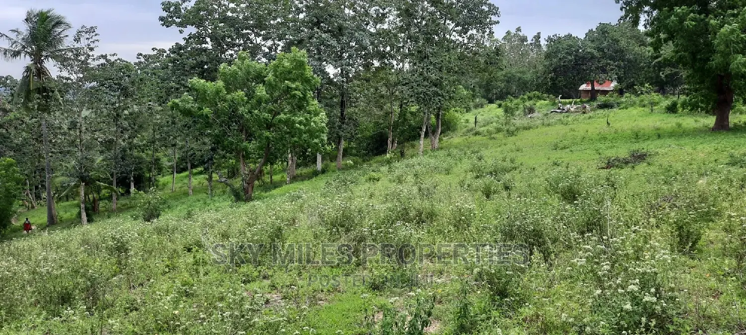 Mtwapa 2.2 Acres Creek Beach Plot on Sale.