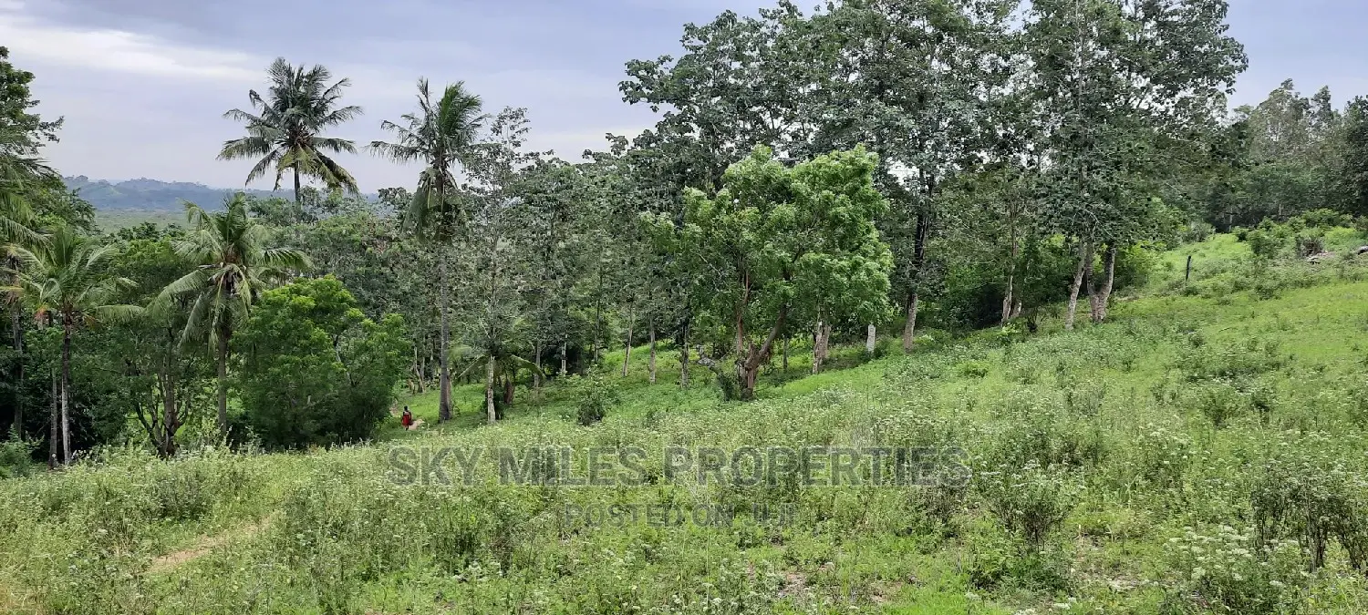 Mtwapa 2.2 Acres Creek Beach Plot on Sale.