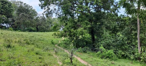 Mtwapa 2.2 Acres Creek Beach Plot on Sale. - thumbnail 11