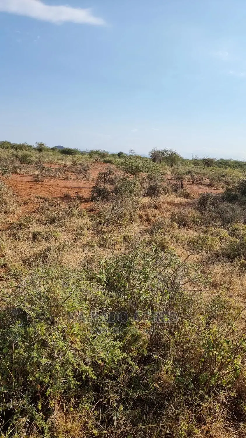 8 Acres Nkorika