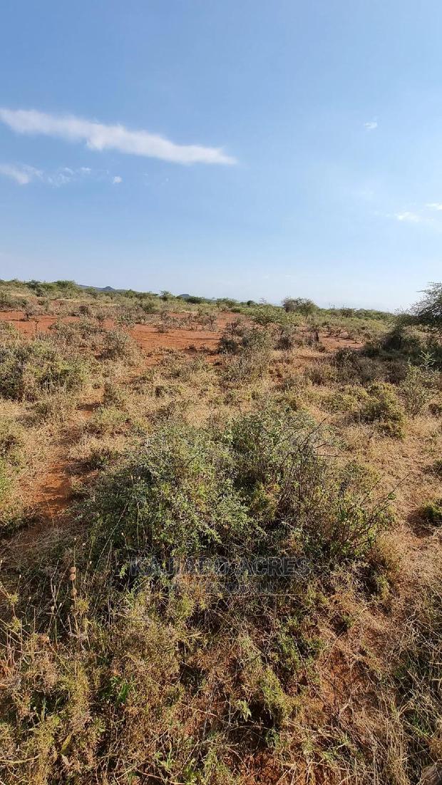8 Acres Nkorika - thumbnail 3