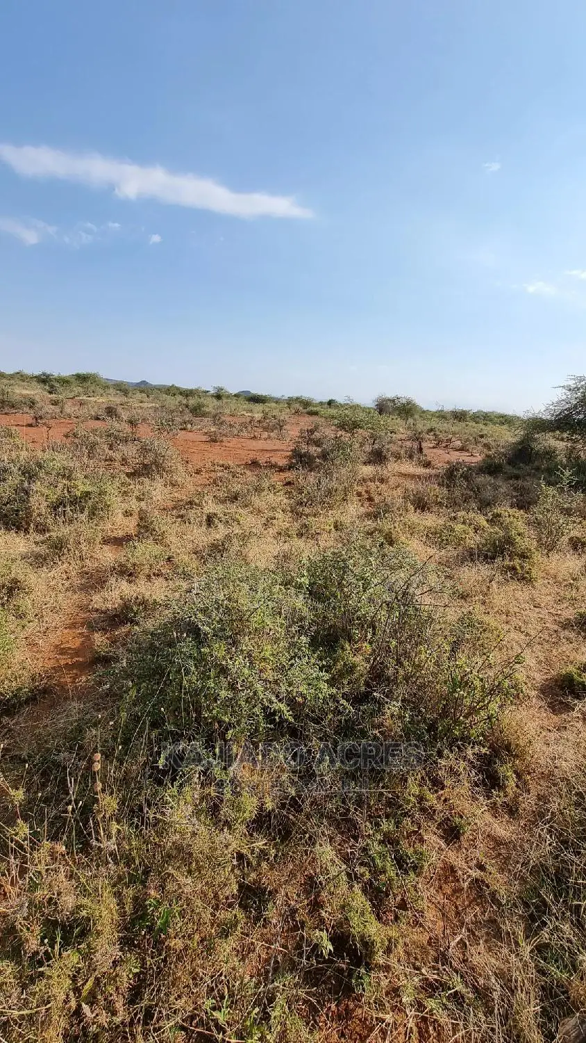 8 Acres Nkorika