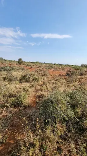 8 Acres Nkorika