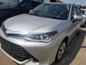 Toyota Fielder 2015 Silver