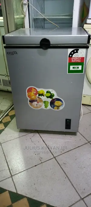 Mini Deep Freezer