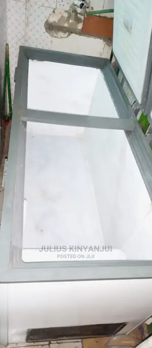 Double Door Freezer
