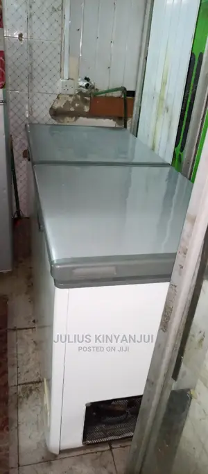 Double Door Freezer