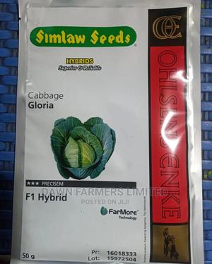 Gloria F1 , Hybrid Cabbage 10gms - main view