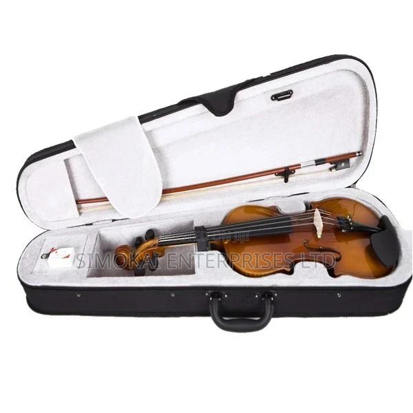 Plywood Violin With Case - main view