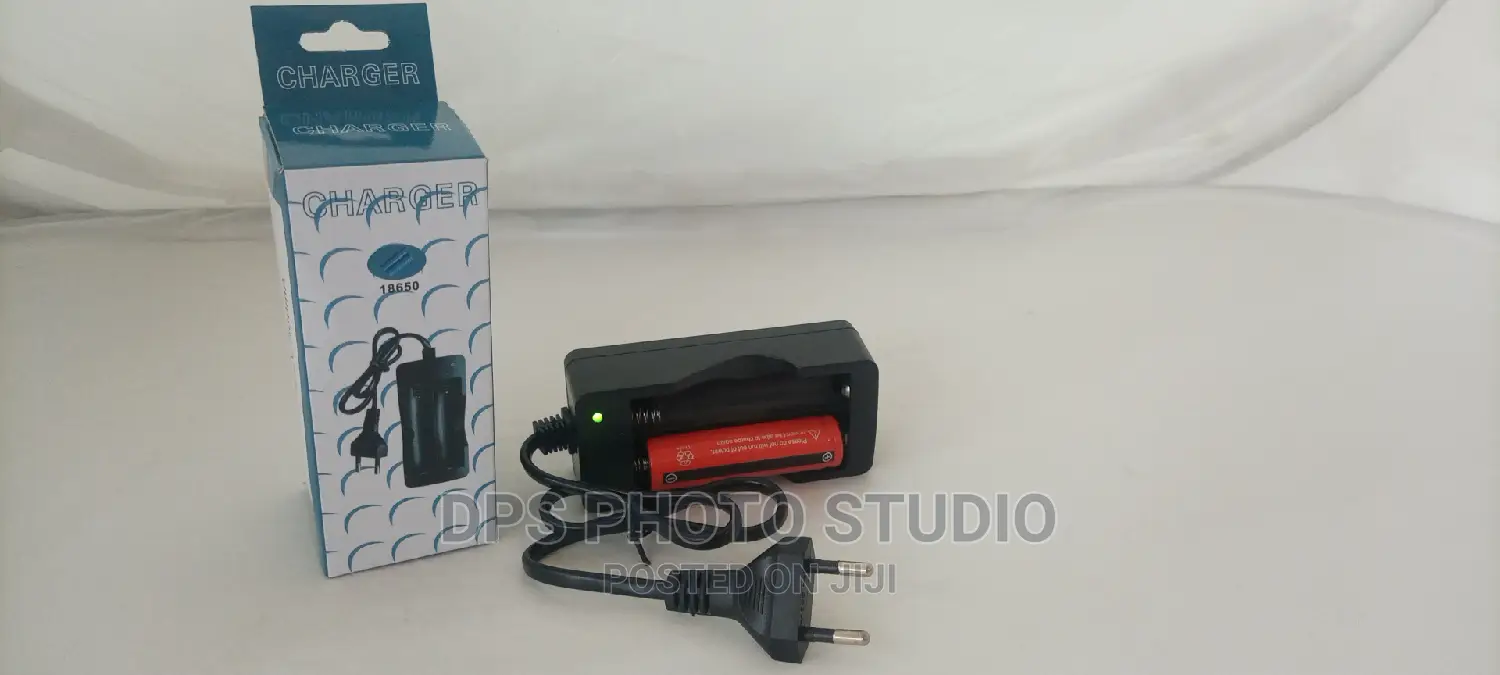 18650 Battery Charger 202a