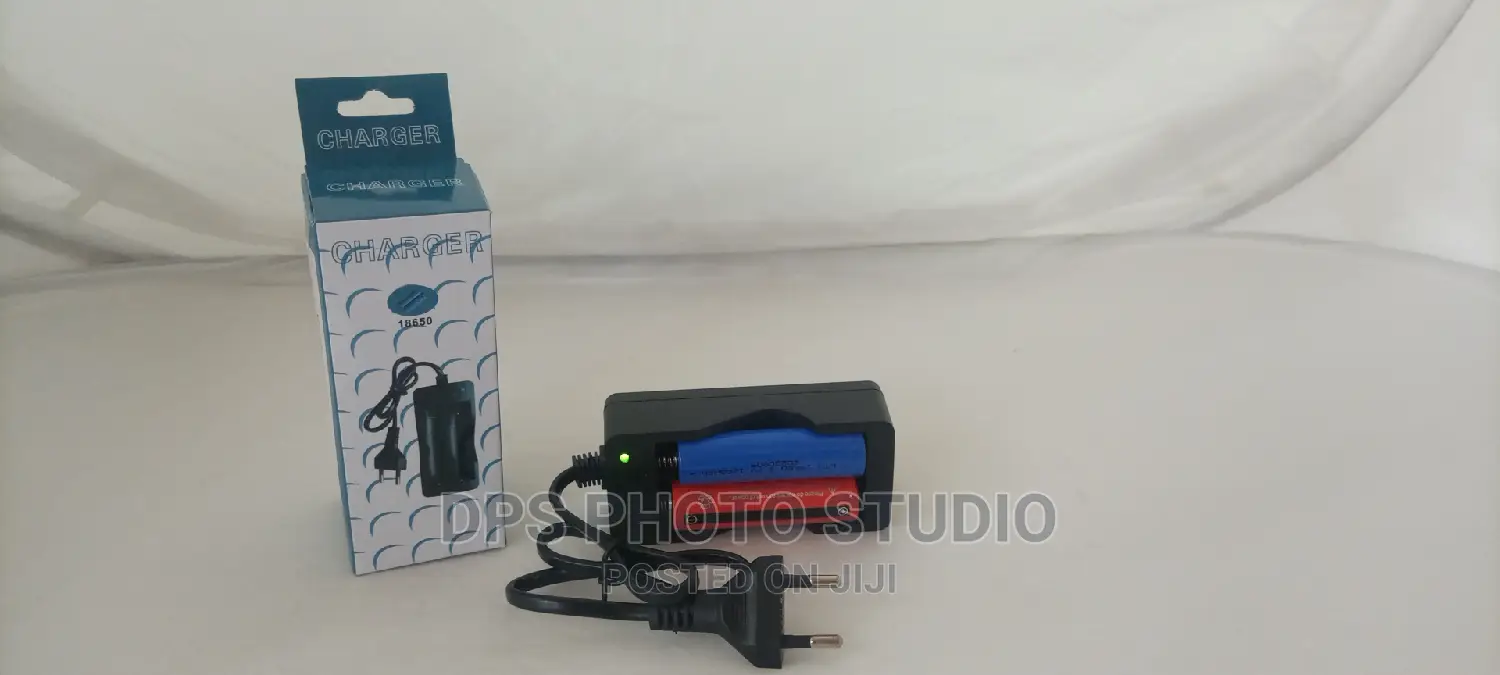 18650 Battery Charger 202a