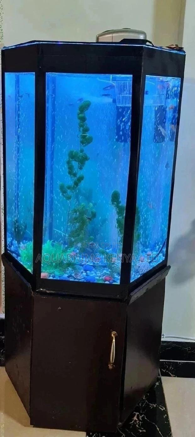 Custom Made Feng Shui Aquariums - main view