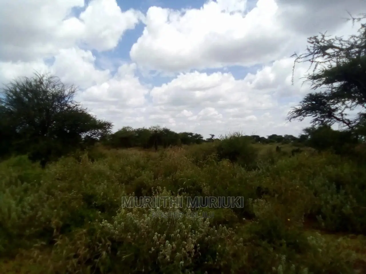 21-Acre Blocks With Title Deeds and Share Certificates