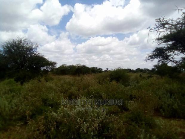 21-Acre Blocks With Title Deeds and Share Certificates