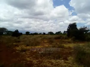 21-Acre Blocks With Title Deeds and Share Certificates