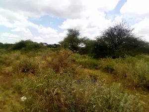 21-Acre Blocks With Title Deeds and Share Certificates