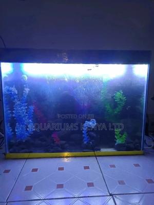 Fish Aquarium, Custom Made Aquarium, Beautiful Aquascaping - thumbnail 2