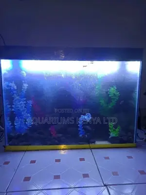 Fish Aquarium, Custom Made Aquarium, Beautiful Aquascaping
