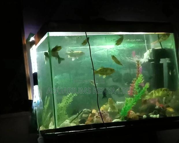Fish Aquarium, Fish Tank, Custom Aquarium - main view