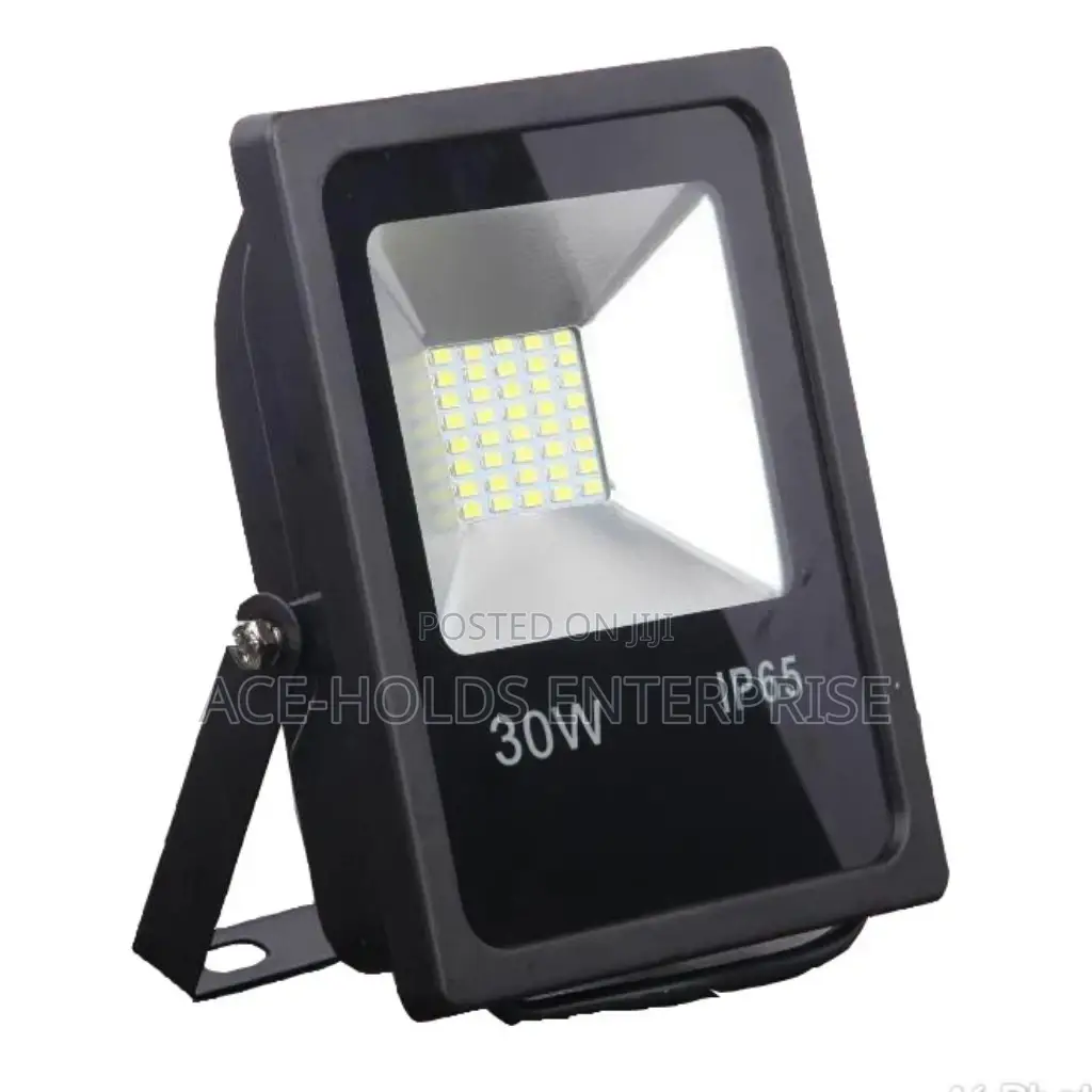 30watts Floodlight.