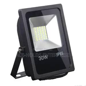 30watts Floodlight.