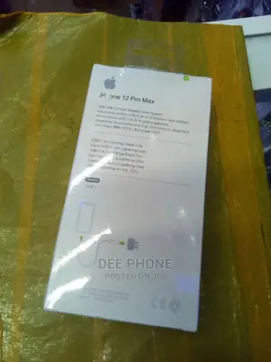 iPhone 12 Pro Lighting to Type C Charger.