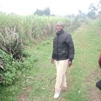 Sammy Simiyu Wanyonyi logo