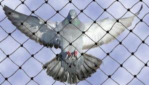 Birdnet 200sqm. - thumbnail 2