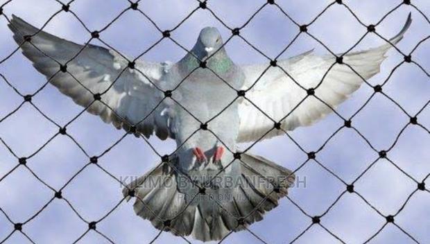 Birdnet 200sqm. - main view