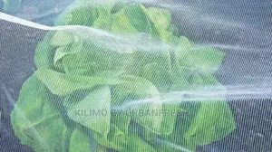 Anti - Insect Net. 09. 150sqm Roll.