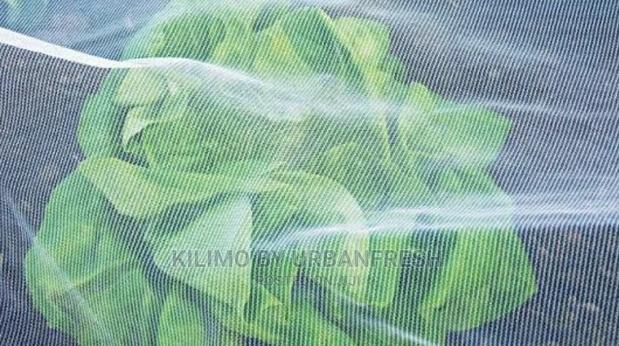 Anti - Insect Net. 09. 150sqm Roll.