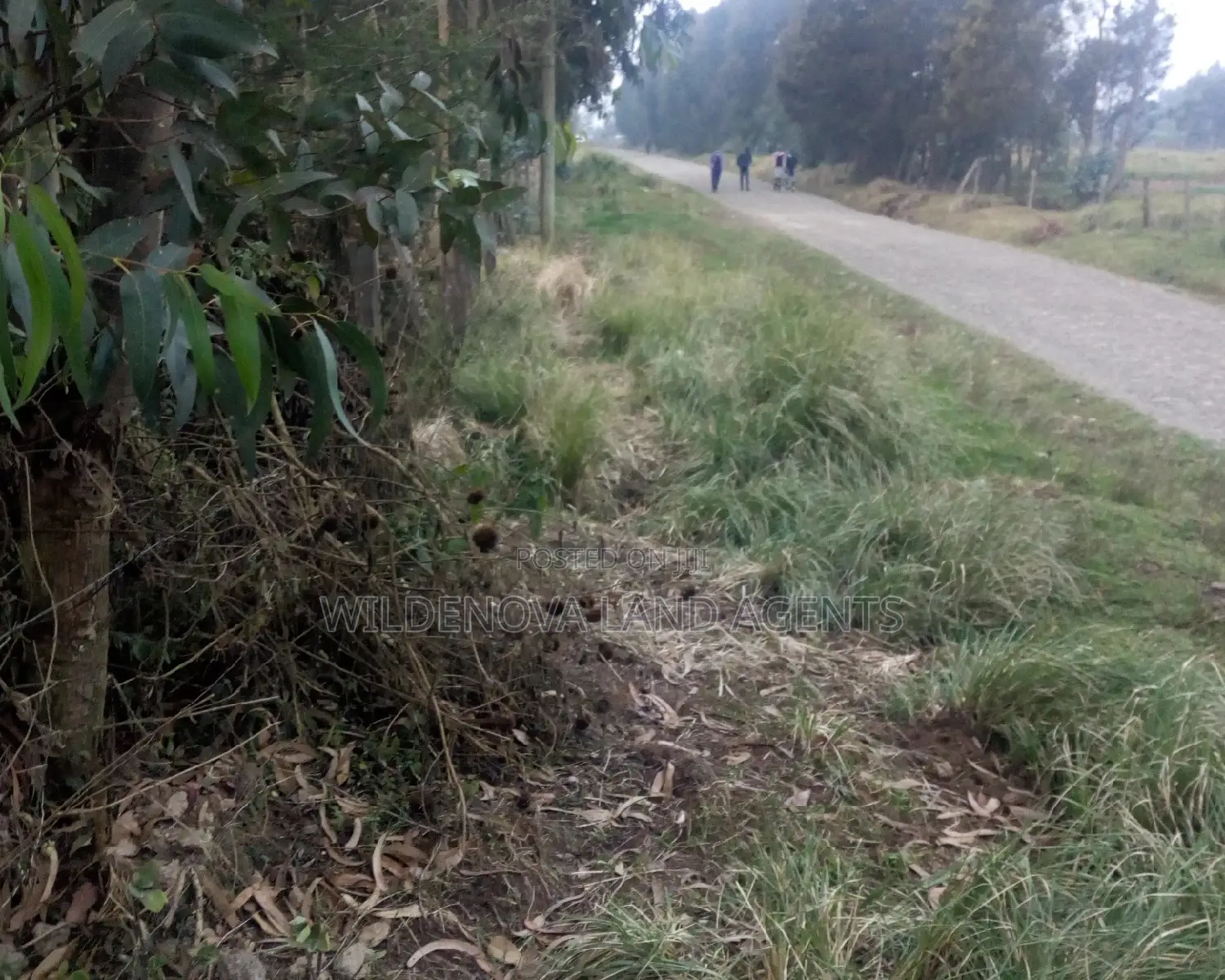 2 Acres on Sale at Nyakio Kinangop