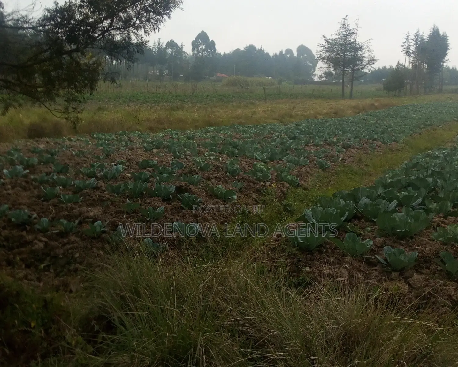 2 Acres on Sale at Nyakio Kinangop