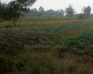 2 Acres on Sale at Nyakio Kinangop