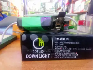 15watts COB Downlighter