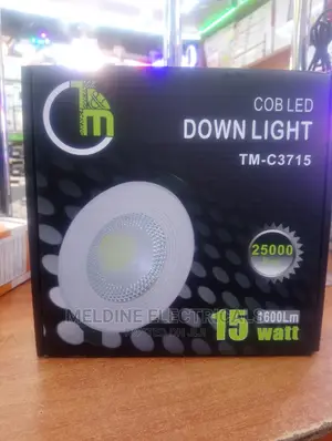 15watts COB Downlighter