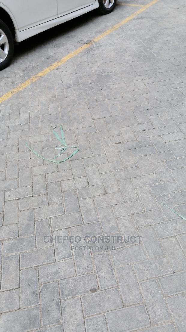 Ordinary Cabro / Paving Blocks - main view