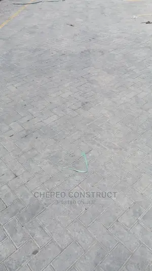 Ordinary Cabro / Paving Blocks
