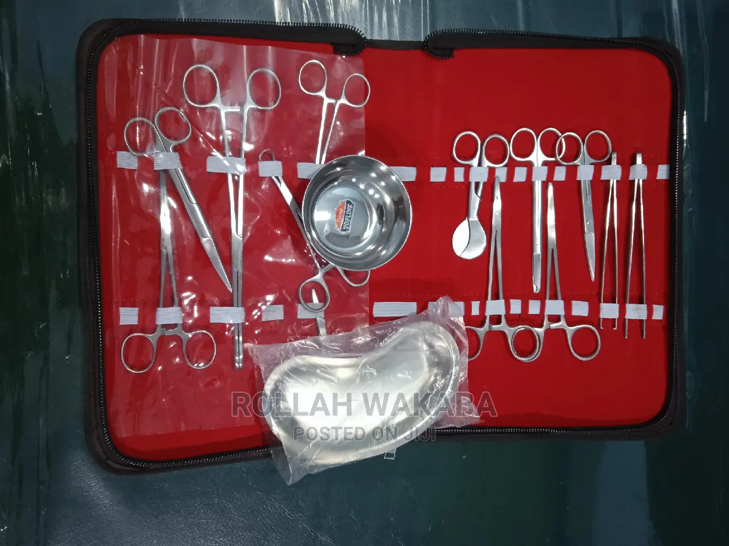 Cased Delivery Set