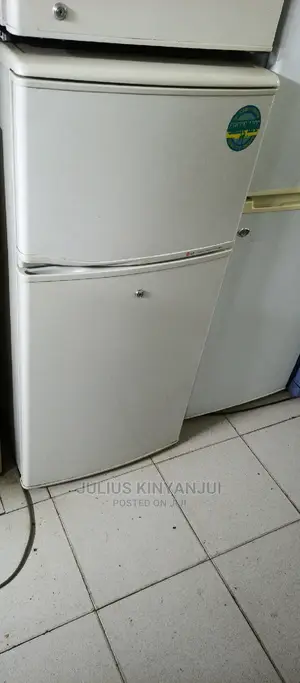 Mini LG Fridge