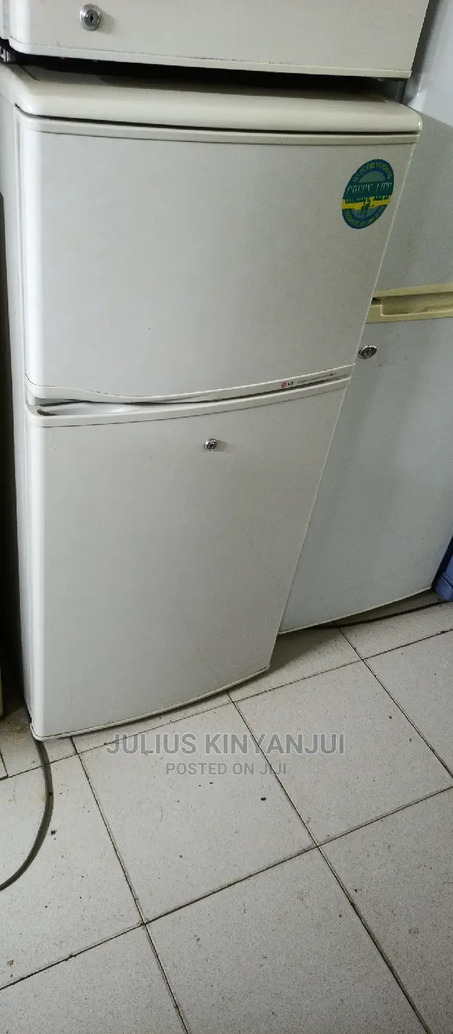 Mini LG Fridge
