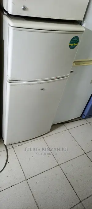 Mini LG Fridge