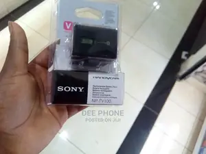 Sony NP-FV100 Camera Battery