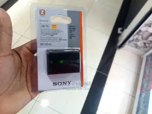 Sony NP-FZ100 Camera Battery