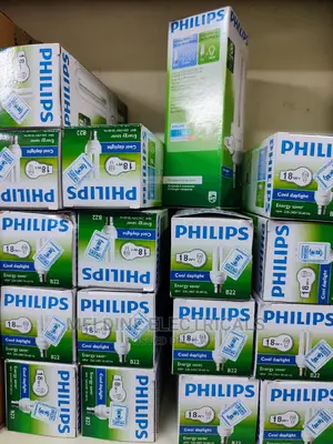 Philips 18watt Energy Saver Bulb