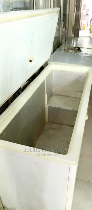 Deep Freezer 500L