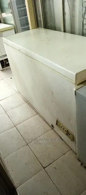 Deep Freezer 500L