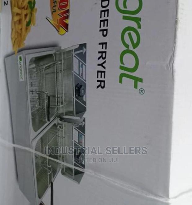 New Arrival Double Deep Fryer - main view