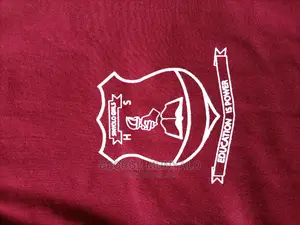 Printed T-Shirts (School)