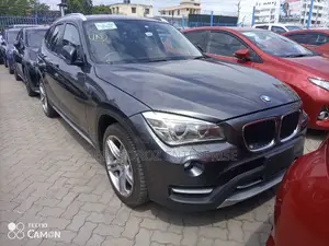 BMW X1 2014 Gray